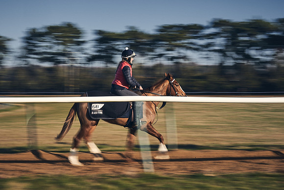 Southfield-Farm0Gallops-DJ-_DJ97079.ARW-1021