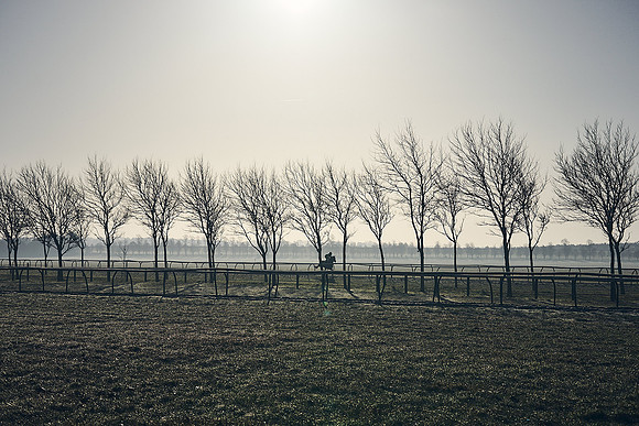 Southfield-Farm0Gallops-DJ-_DJ96123.ARW-0065
