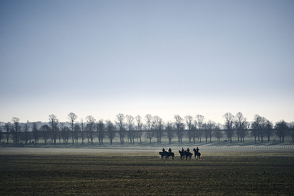 Southfield-Farm0Gallops-DJ-_DJ97389.ARW-1331