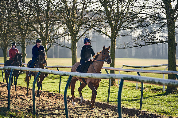 Southfield-Farm0Gallops-DJ-_DJ97241.ARW-1183