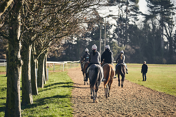 Southfield-Farm0Gallops-DJ-_DJ97290.ARW-1232