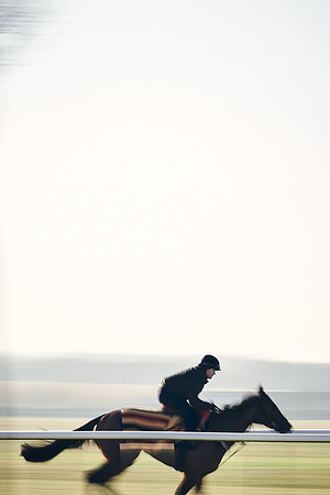 Southfield-Farm0Gallops-DJ-_DJ96195.ARW-0137