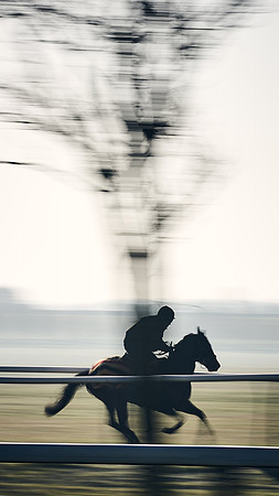 Southfield-Farm0Gallops-DJ-_DJ96212.ARW-0154