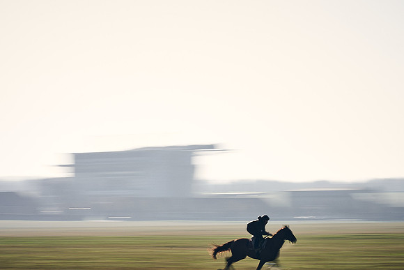 Southfield-Farm0Gallops-DJ-_DJ97432.ARW-1374
