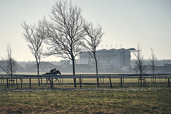 Southfield-Farm0Gallops-DJ-_DJ96078.ARW-0020