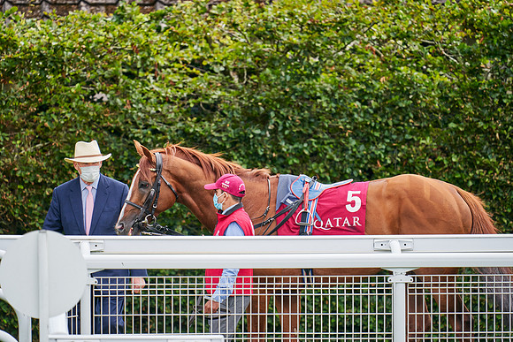 QGF2020_DominicJames-001541