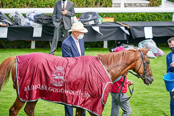 QGF2020_DominicJames-002083