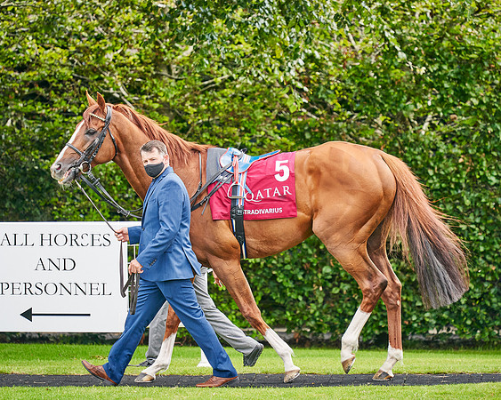 QGF2020_DominicJames-001448