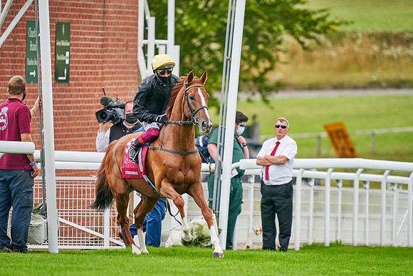 QGF2020_DominicJames-001808