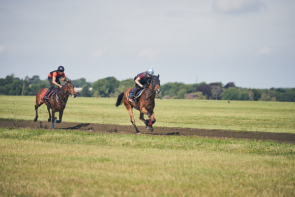 17th-June-Dominic-James-3435