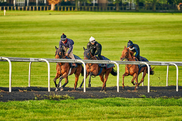 6th-Oct-Dominic-James-02397