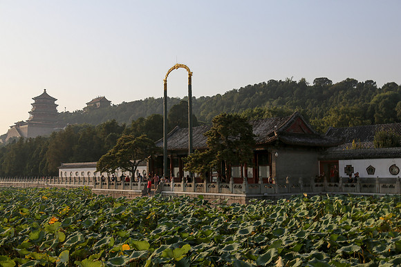 Royal Salute Gold Cup 2012 China Polo Tournament Open