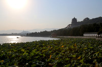Royal Salute Gold Cup 2012 China Polo Tournament Open