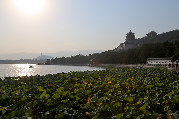 Royal Salute Gold Cup 2012 China Polo Tournament Open