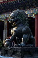 Royal Salute Gold Cup 2012 China Polo Tournament Open
