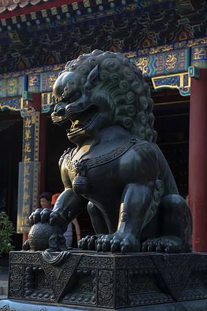 Royal Salute Gold Cup 2012 China Polo Tournament Open