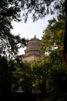 Royal Salute Gold Cup 2012 China Polo Tournament Open