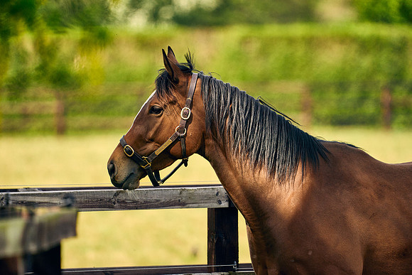 2022-05-09-Dominic-James-2224