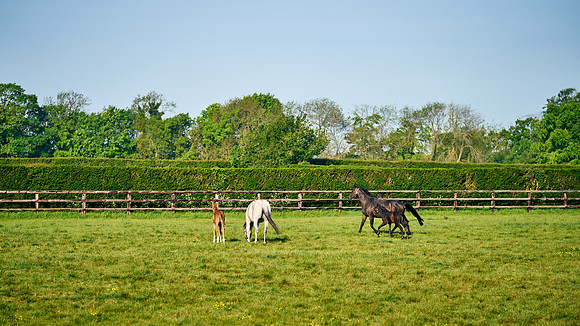 2022-05-09-Dominic-James-0475