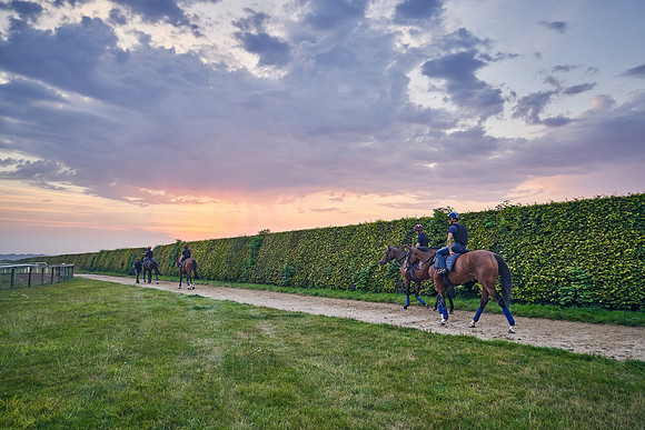 12th-August-Dominic-James-03636