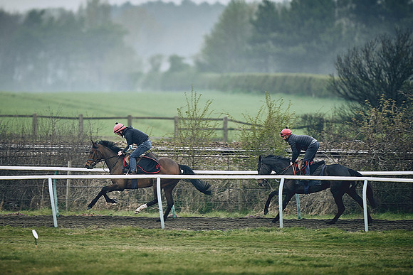 HORSES-IN-TRAINING-9TH-APR-DJ-0215