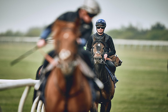 HORSES-IN-TRAINING-9TH-APR-DJ-0330