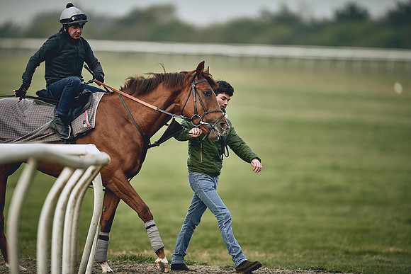 HORSES-IN-TRAINING-9TH-APR-DJ-0286
