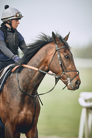 HORSES-IN-TRAINING-9TH-APR-DJ-0387