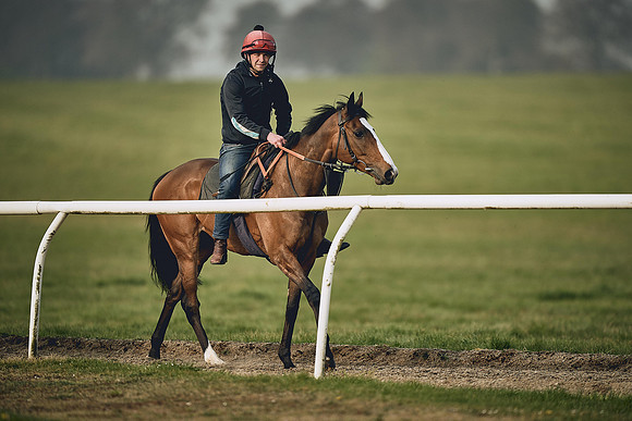 HORSES-IN-TRAINING-9TH-APR-DJ-0543