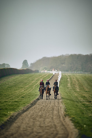 HORSES-IN-TRAINING-9TH-APR-DJ-0495