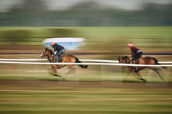 HORSES-IN-TRAINING-9TH-APR-DJ-0582