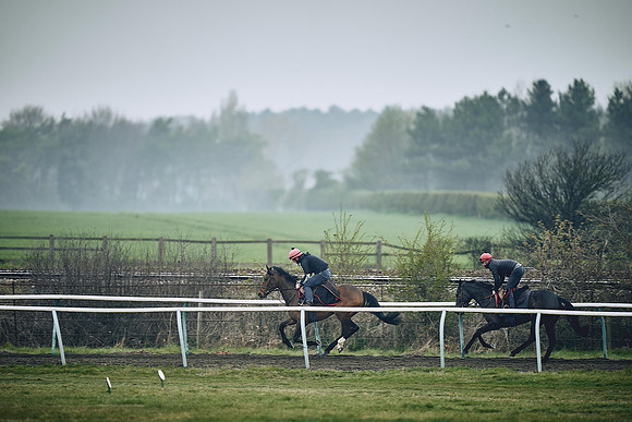 HORSES-IN-TRAINING-9TH-APR-DJ-0214