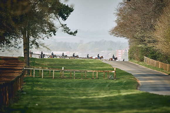 HORSES-IN-TRAINING-9TH-APR-DJ-0765