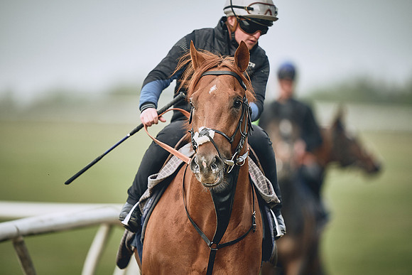 HORSES-IN-TRAINING-9TH-APR-DJ-0332