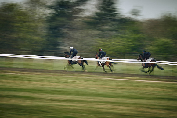 HORSES-IN-TRAINING-9TH-APR-DJ-0453