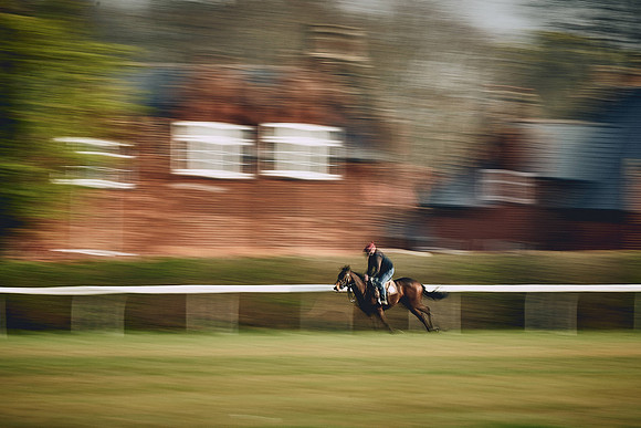 HORSES-IN-TRAINING-9TH-APR-DJ-0707