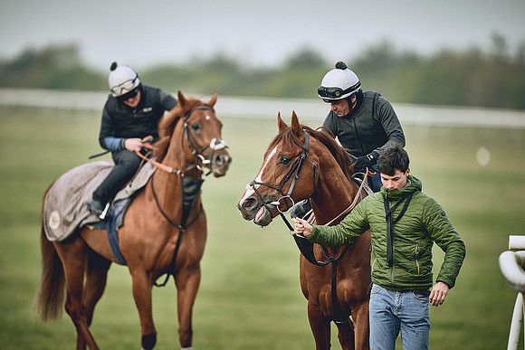 HORSES-IN-TRAINING-9TH-APR-DJ-0304