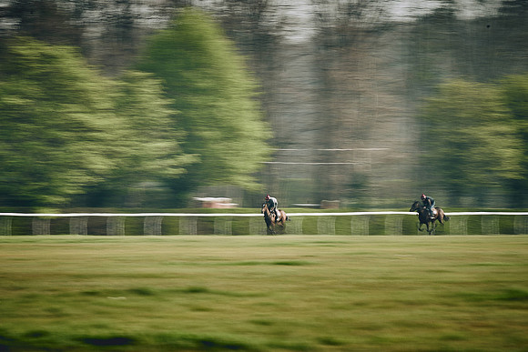 HORSES-IN-TRAINING-9TH-APR-DJ-0658