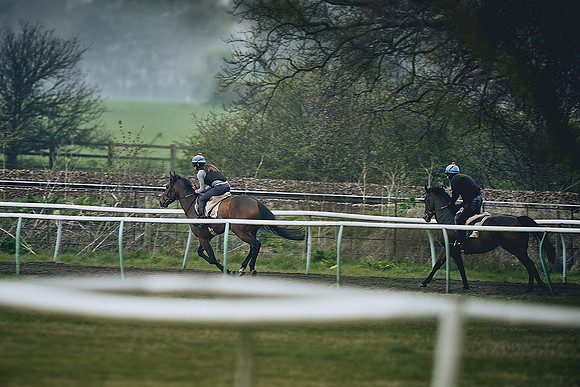 HORSES-IN-TRAINING-9TH-APR-DJ-0080