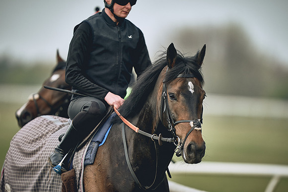 HORSES-IN-TRAINING-9TH-APR-DJ-0360