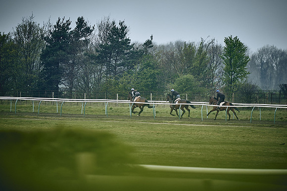 HORSES-IN-TRAINING-9TH-APR-DJ-0132