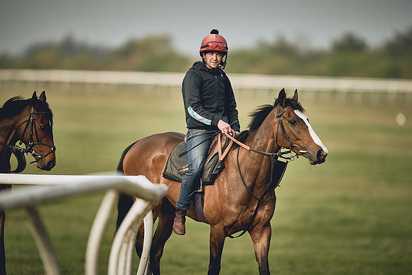 HORSES-IN-TRAINING-9TH-APR-DJ-0552
