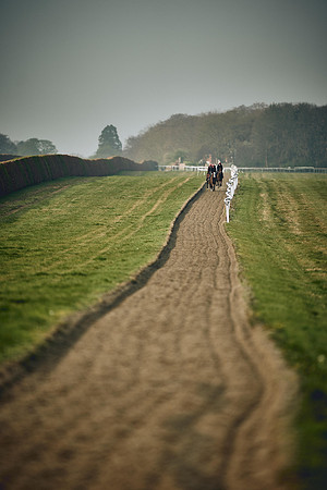 HORSES-IN-TRAINING-9TH-APR-DJ-0475