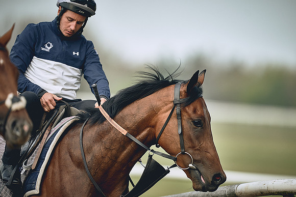 HORSES-IN-TRAINING-9TH-APR-DJ-0341