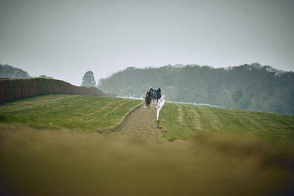 HORSES-IN-TRAINING-9TH-APR-DJ-0261