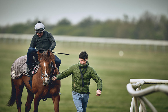 HORSES-IN-TRAINING-9TH-APR-DJ-0294