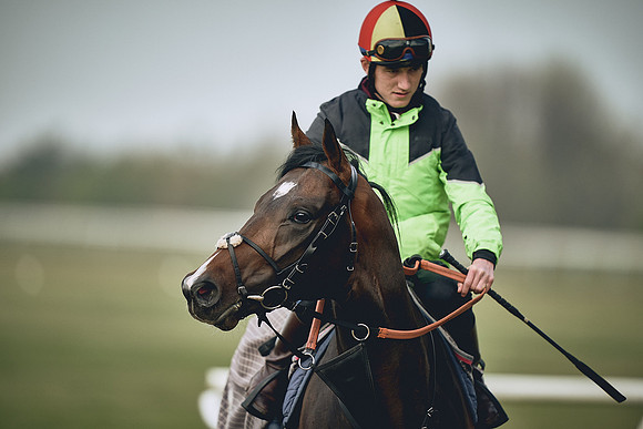 HORSES-IN-TRAINING-9TH-APR-DJ-0363