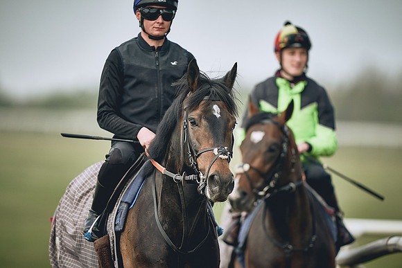 HORSES-IN-TRAINING-9TH-APR-DJ-0355