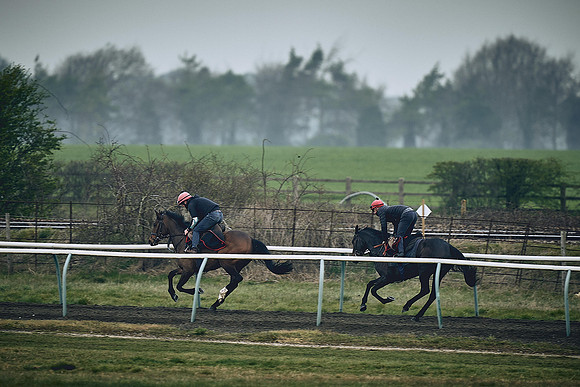 HORSES-IN-TRAINING-9TH-APR-DJ-0229