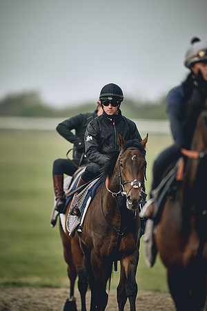 HORSES-IN-TRAINING-9TH-APR-DJ-0383